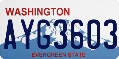 WA license plate AYG3603