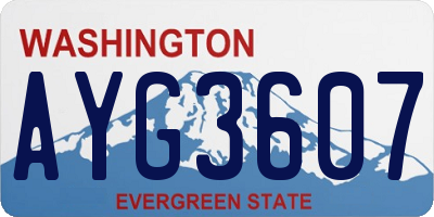 WA license plate AYG3607