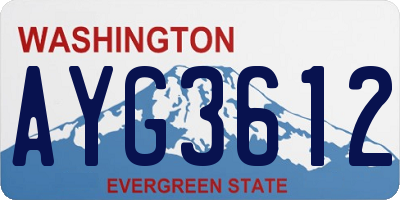 WA license plate AYG3612