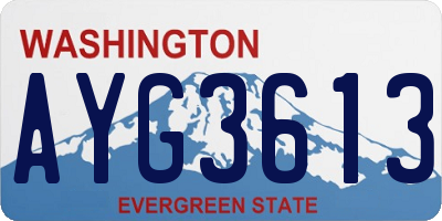 WA license plate AYG3613