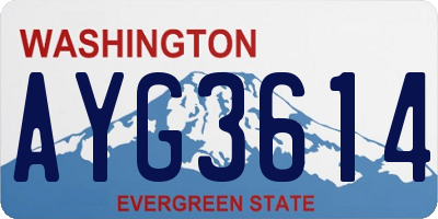 WA license plate AYG3614