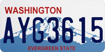 WA license plate AYG3615