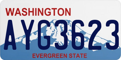 WA license plate AYG3623
