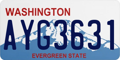 WA license plate AYG3631