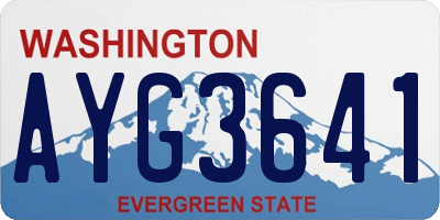 WA license plate AYG3641