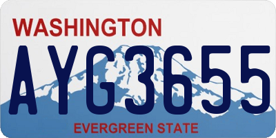 WA license plate AYG3655