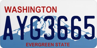 WA license plate AYG3665