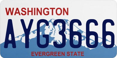 WA license plate AYG3666