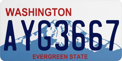 WA license plate AYG3667