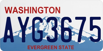 WA license plate AYG3675