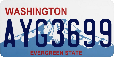 WA license plate AYG3699