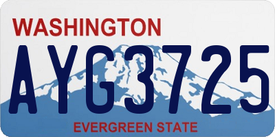 WA license plate AYG3725