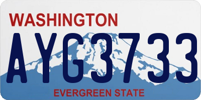 WA license plate AYG3733