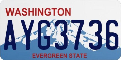 WA license plate AYG3736