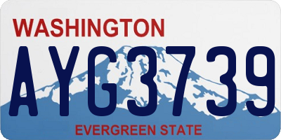 WA license plate AYG3739