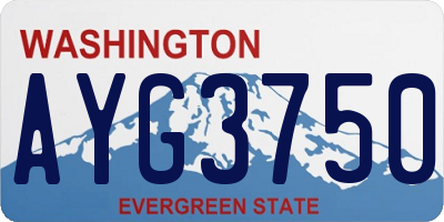 WA license plate AYG3750