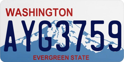 WA license plate AYG3759