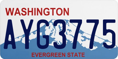 WA license plate AYG3775