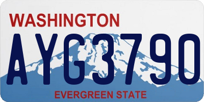 WA license plate AYG3790