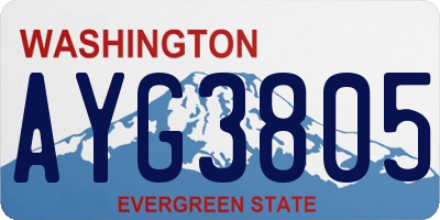 WA license plate AYG3805