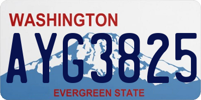 WA license plate AYG3825