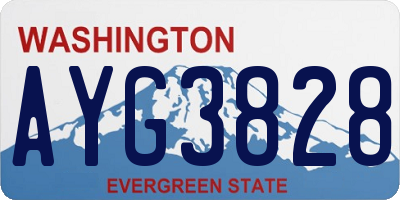 WA license plate AYG3828