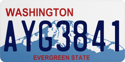 WA license plate AYG3841