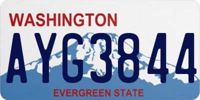WA license plate AYG3844