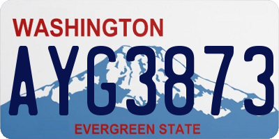 WA license plate AYG3873