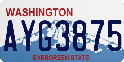 WA license plate AYG3875