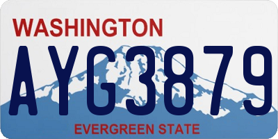 WA license plate AYG3879