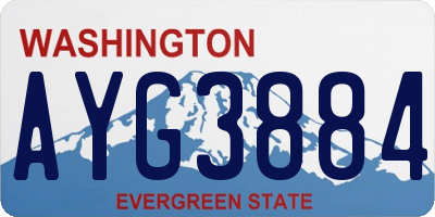WA license plate AYG3884
