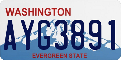 WA license plate AYG3891