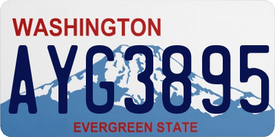 WA license plate AYG3895