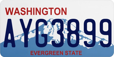 WA license plate AYG3899