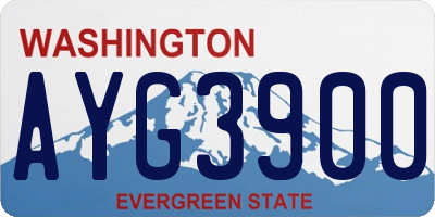 WA license plate AYG3900
