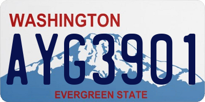 WA license plate AYG3901