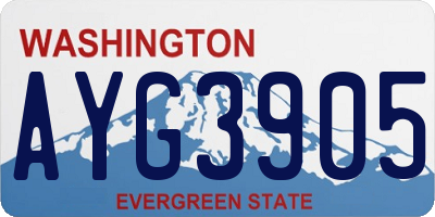 WA license plate AYG3905
