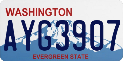 WA license plate AYG3907