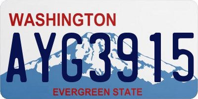 WA license plate AYG3915
