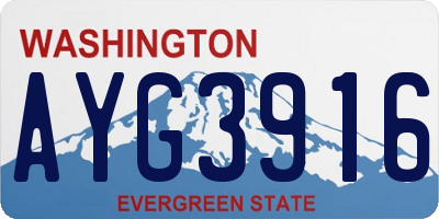 WA license plate AYG3916