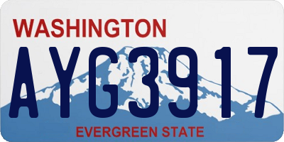 WA license plate AYG3917