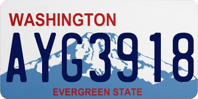 WA license plate AYG3918