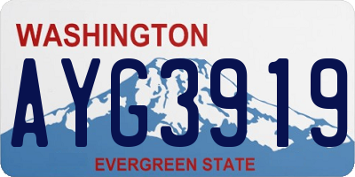 WA license plate AYG3919