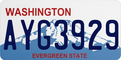 WA license plate AYG3929