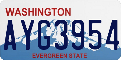 WA license plate AYG3954