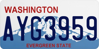 WA license plate AYG3959