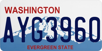 WA license plate AYG3960
