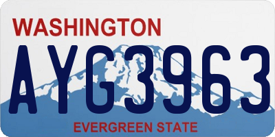 WA license plate AYG3963