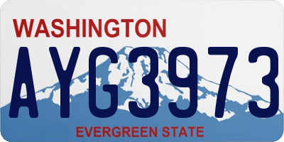 WA license plate AYG3973